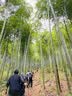 尤萨2023劳保鞋男新款防滑耐磨解放鞋工地帆布胶鞋登山透气户外马丁鞋 黑色 41 实拍图