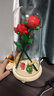 乐高（LEGO）玫瑰花40460花束拼搭女孩拼装玩具生日家居饰品生日礼物 玫瑰花小王子套装【1盒2朵】 实拍图
