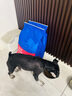 海洋之星三文鱼狗粮成犬泰迪金毛柯基比熊拉布拉多狗干粮犬粮 三文鱼成犬粮12kg 实拍图