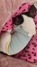 欢宠网宠物猫咪狗狗衣服小狗猫衣服泰迪柯基比熊小型犬小猫幼犬猫猫衣服 实拍图
