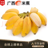闽农语果正宗广西苹果蕉新鲜美味现摘新鲜香甜软糯小香蕉小米蕉需催熟香蕉 【家庭份量】净重 9斤 /需催熟 实拍图