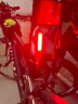 GIANT捷安特破风2.0车尾灯小巧便携可USB充电自行车车灯骑行装备 黑色 晒单实拍图
