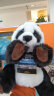 National Geographic儿童节礼物 国家地理动物熊猫手偶亲子互动儿童毛绒玩具男女孩 晒单实拍图