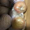 岸上人家山西红富士苹果水果脆甜冰糖心丑苹果新鲜时令水果整箱水果75mm+ 带箱1斤装单果70mm+小果 实拍图