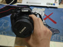 佳能/Canon 600D 700D 750D 760D 800D 850D二手单反相机新手入门旅游高清相机 600D+18-55 IS II【套机】 准新 实拍图