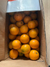 趣觅鲜永兴冰糖橙正宗湖南郴州当季新鲜水果甜橙超甜橙子礼盒装 18斤中果60-65mm 实拍图