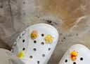 卡骆驰（CROCS）经典Clog檀健次同款洞洞鞋男女鞋凉拖户外拖鞋沙滩凉鞋 实拍图