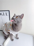 华元宠具（hoopet）猫咪绝育服宠物小狗狗母猫猫手术服透气戒奶服公猫防舔术后用衣服 实拍图