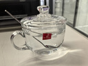 钢化无铅玻璃杯子泡茶杯耐高温家用加厚带盖牛奶杯早餐杯果汁杯盖 牛奶杯(470ml)+玻璃盖+银勺/304 实拍图