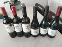 红魔鬼（Casillero del Diablo）葡萄酒 智利原瓶进口红酒 红魔鬼珍藏系列750ml 单支装 佳美娜红葡萄酒 实拍图