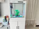 闽江（minjiang）鱼缸水族箱免换水生态造景客厅屏风中大型玻璃龙鱼缸观赏鱼家用 白色（礼包+造景+升级过滤） 长60*宽30*高64.5（缸体不含柜） 实拍图