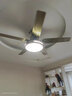 钻石牌（DIAMOND）风扇灯吊扇灯led客厅带灯吊扇北欧现代简约变频电风扇三色变光YY [变频]42寸吸顶五叶双控-1级能效 实拍图