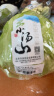 小汤山 北京 圆白菜 500g 基地直供新鲜蔬菜 实拍图