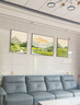 瑞尚（RUISHANG） 北欧客厅装饰画轻奢沙发背景墙挂画简约墙上壁画餐厅玄关墙画 福禄花语 左右40*60+中间80*60晶瓷面金框 实拍图