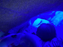 蓝中蓝蓝光黄疸灯新生婴儿蓝光灯黄疸蓝光箱机仪器毯租赁非医家用照黄疸 基础版+随赠价值60元配件礼包-特价促销 实拍图
