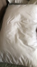 Nitetronic 添眠智能止鼾枕头Z1P/Z6 深睡眠乳胶枕德国黑科技防止打呼噜 Z1P APP智控版[乳胶款 软硬适中] 单个装 实拍图
