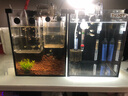 爬将军桌面斗鱼缸超白鱼缸迷你小型家用客厅办公室生态懒人水草缸 20cm缸（带盖+灯+过滤+加热棒） 实拍图
