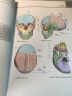 奈特解剖涂色书（第二版） 实拍图