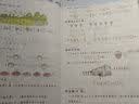 阳光同学 2026春新寒假衔接小学数学一年级人教版 上下册预复习 小学生寒假作业同步教材练习册寒假一本通 28天规划 实拍图