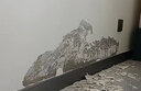 凯诺森内墙防水防潮防霉涂料补墙膏墙面返碱处理墙碱克星抗碱封闭底漆 4斤抗碱专家【起碱发霉】 -2㎡ 实拍图