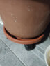 万向轮移动托盘花架 花托 滚轮花盆底座 大型花卉 可存水带轮 加厚红平面26型4轮 实拍图