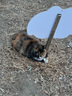 渔极（AkikA）猫罐头泰国原装进口AK系列猫湿粮宠物猫零食成幼猫罐头 随机口味（12罐） 实拍图
