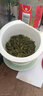 崂乡青岛崂山绿茶2026新茶250g罐简装豆香浓香特级茶叶青岛特产 62.5g*4罐 实拍图
