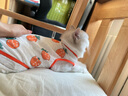 智宙猫咪衣服夏季猫衣服防掉毛薄款幼宠物背心小型犬柯基博美泰迪衣服 【两件装】胡萝卜+牛油果 L 建议7-9斤 背长32cm 实拍图