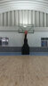威仕顿（WEISHIDUN）液压式篮球架 职业比赛成人标准室内 手动 可移动 黑 晒单实拍图
