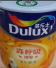 多乐士（Dulux）森呼吸淳零无添加竹炭全效儿童漆内墙乳胶漆油漆墙面漆A8206R1 1L 实拍图