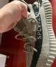 阿迪达斯三叶草男女鞋椰子Yeezy350休闲鞋运动鞋HP7870父亲节礼物UK5码38 实拍图