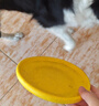 飞盘狗专用飞盘耐咬训犬软飞碟边牧金毛拉布拉多大中小型宠物玩具 黄色 小号(185mm) 实拍图