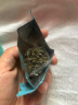 八马茶业乌龙茶 安溪铁观音 清香型一级500g 罐装茶叶 非遗传承技艺 实拍图