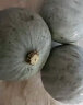 家美舒达新疆农特产 伊犁板栗南瓜 3kg 贵族南瓜  新鲜蔬菜 实拍图