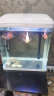 技研精工（JIYJNJINGGONG）鱼缸客厅小型家用带增氧桌面超白玻璃过滤免换水生态懒人鱼缸400 晒单实拍图