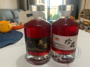 极度空间酒瓶空瓶500ML*2玻璃瓶密封存酒瓶白酒瓶空酒瓶小酒瓶透明泡酒瓶 实拍图