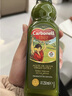 CARBONELL西班牙进口原瓶原装特级初榨橄榄油礼品礼盒 康宝娜橄榄油 500mL*1瓶  25年1月生产 实拍图