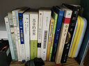 上市公司财务造假案例解析及核查提示 实拍图