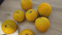 土八鲜江西橙子赣南脐橙新鲜水果赣州脐橙手剥甜橙礼盒 王者橙4.5-5斤【单果330-400g】 实拍图