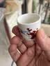 陌上纤虹白酒陶瓷酒具套装中式家用青瓷酒杯复古宫廷风小酒壶白酒盅烈酒杯 傲雪寒梅酒具1壶8杯（简单） 实拍图