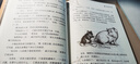 【自选】三四年级小学生课外阅读书目： 夏洛的网 活了100万次的猫(珍藏版)  了不起的狐狸爸爸  窗边的小豆豆 妈妈买绿豆等单本自选 儿童文学课外读物童书新华书店正版： 夏洛的网 新华书店 实拍图
