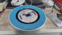 熊猫（PANDA）CD-66蓝牙壁挂式DVD播放机 CD机VCD机光盘光驱音响台式播放器影碟机USB音箱音乐播放机（蓝） 实拍图