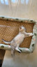 licheers猫狗窝凉席小型犬宠物猫咪睡垫夏季床垫泰迪中大型犬狗垫子 L号 晒单实拍图
