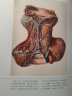 解剖之美：14世纪以来的人体解剖图鉴 实拍图