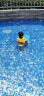 INTEX儿童救生衣浮力背心宝宝充气救生衣游泳装备泳圈水上浮衣59661 晒单实拍图
