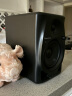 Pioneer DJ【品牌正品专卖】先锋DM-50D DM-50D-W系列桌面监听音箱有源蓝牙功能音响电脑立体声电脑 DM-50D-BT黑色【蓝牙+有线版】 实拍图