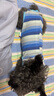 拉维佩特（LOVINGPET）狗绝育手术服 小型犬绝育衣服狗狗术后服公狗母狗绝育服 蓝色 L 建议8-12斤 实拍图
