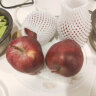 京鲜生 甘肃天水花牛苹果  4粒装 单果200g起  生鲜水果健康轻食 实拍图