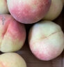 佐什顺丰现摘春雪水蜜桃 鲜桃子脆甜桃大桃 时令新鲜水果产地直发 2斤装 单果150g+ 实拍图