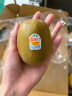 佳沛（zespri）新西兰阳光金奇异果10粒礼盒巨大果单果约146-175g水果猕猴桃 实拍图